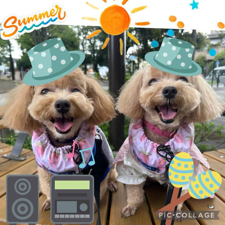 Bb0329b3 ed48 4e75 b888 c12307935f47 1723962468107