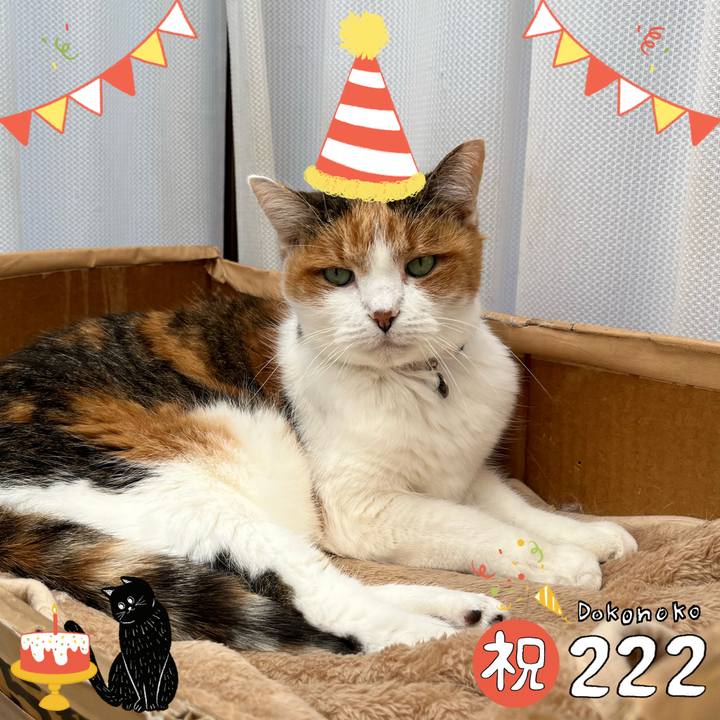 Bb034dd3 8182 4950 b968 955670bbd6d2 1645531197422