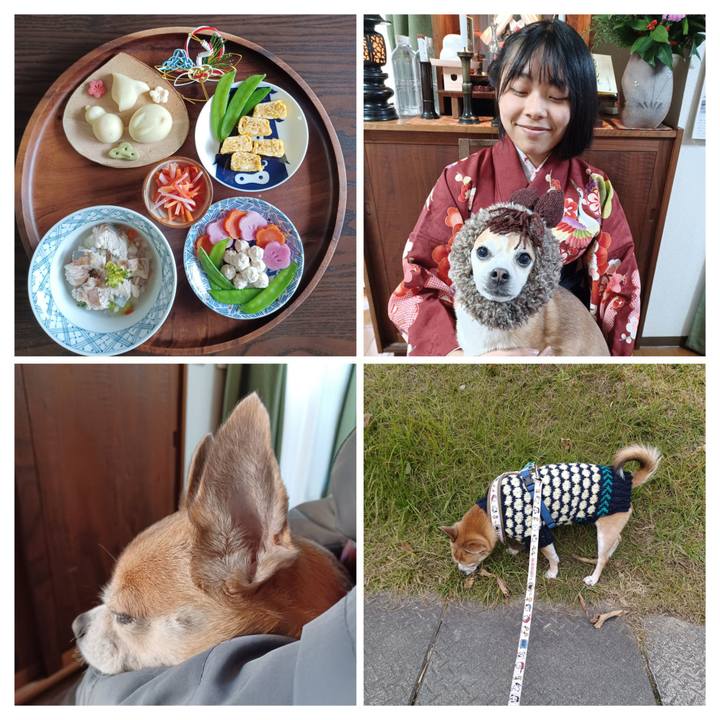 Bb035faf 96bb 49dd b244 398456464d23 1767251201235