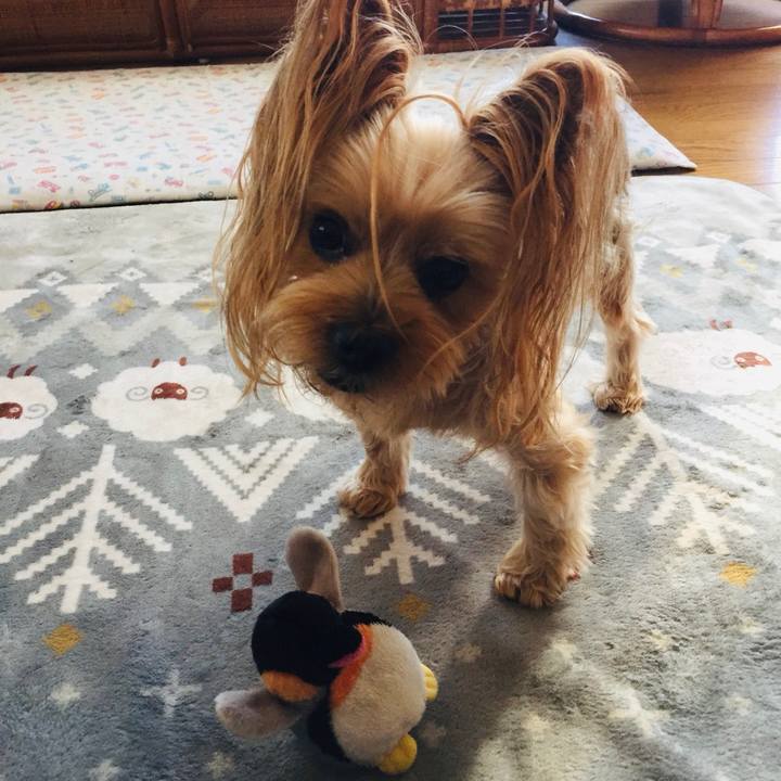 Bb036749 65fd 4fe3 b409 d15e0ea0e926 1539914802293