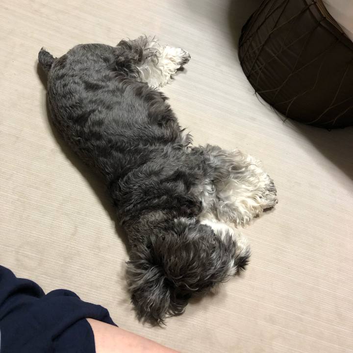 Bb037025 ef83 490c bfad 51c222388199 1659790858009