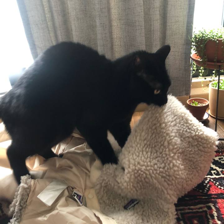 Bb037082 97e7 4140 9ad5 dbe215d924e1 1611629320820