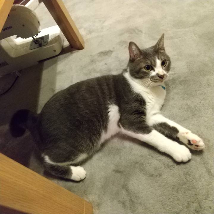 Bb03ef2b 359d 418c a7e5 c5f77ac81fd8 1602164448470