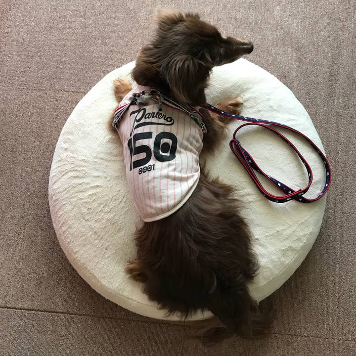 Bb04332a b0c8 4ba5 bd9d d550ce91fe1b 1525405026131