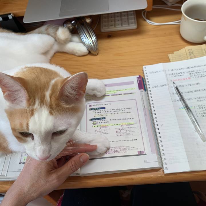 Bb04565f 530a 4f41 9807 8296d484987e 1649550129342