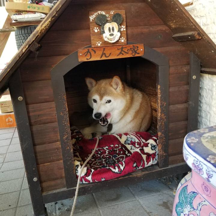 Bb04680f dc6b 4525 a355 dd51c7233c32 1659833449319