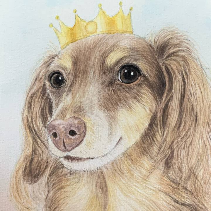 Bb04853a fe3a 41ab a2ef 1d01ba7e6246 1694244980661