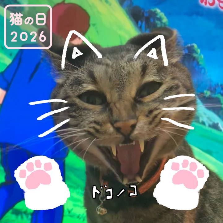 Bb0486fa fa57 45fb b988 316722097d78 1771731472846