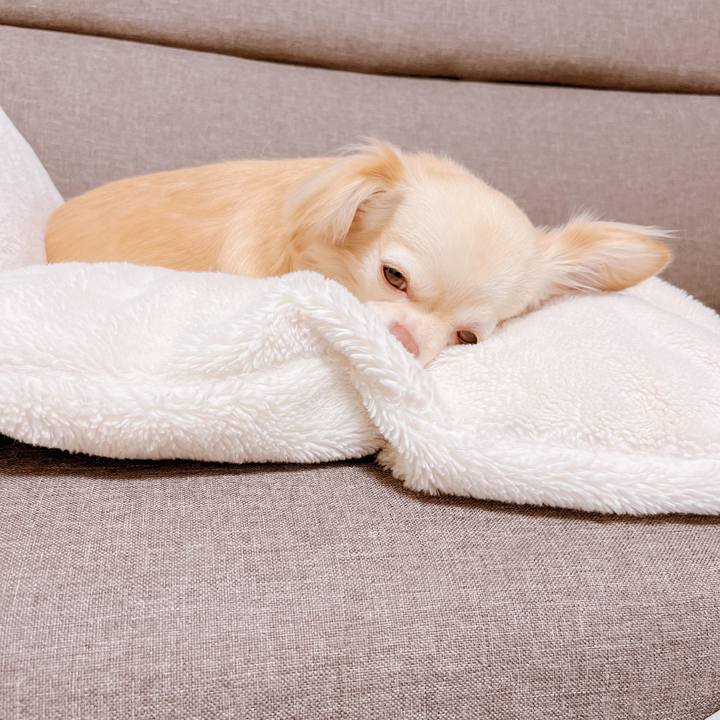 Bb04905e 01fc 4c35 ace6 c6032957f685 1659611375960