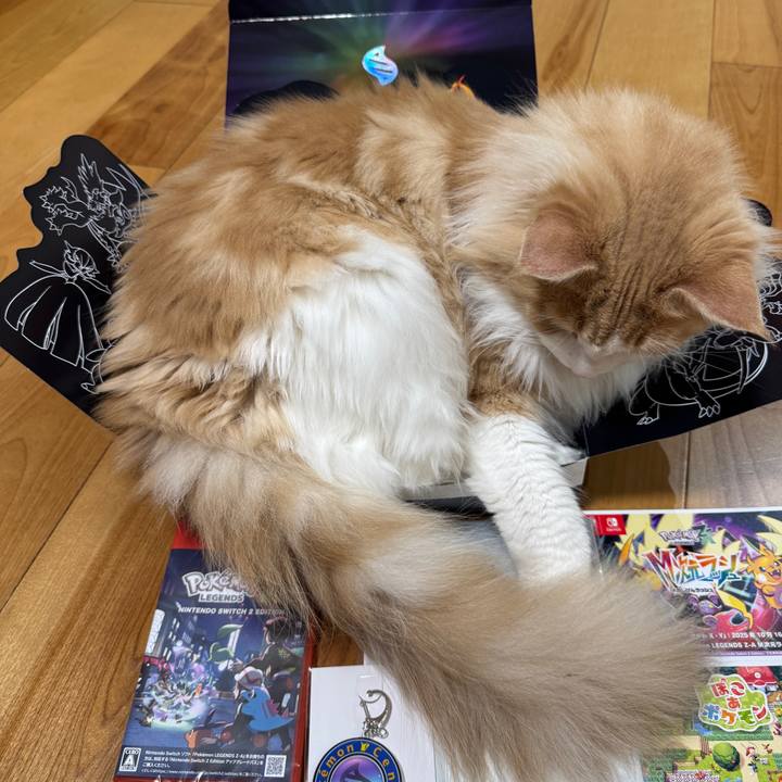 Bb049097 6e18 4d42 8b36 1872e8345437 1760771093476