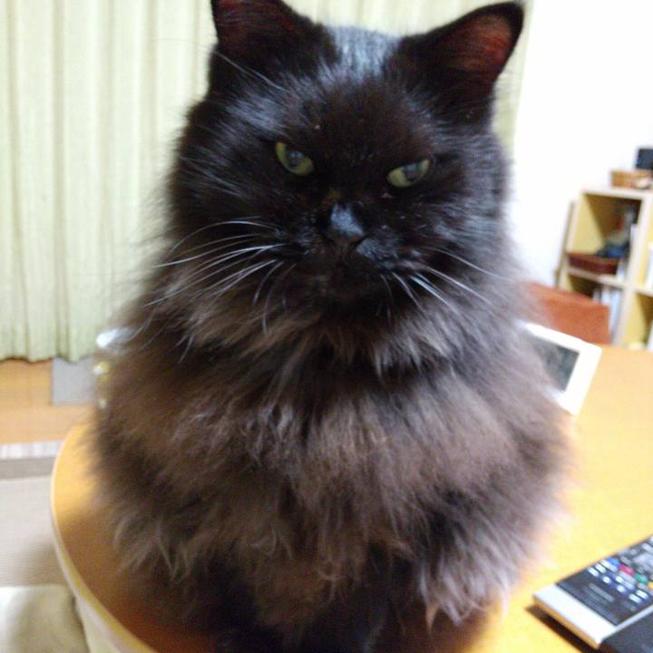 Bb04ad36 31b8 4569 991f 29865d6b1cdf 1665397187609