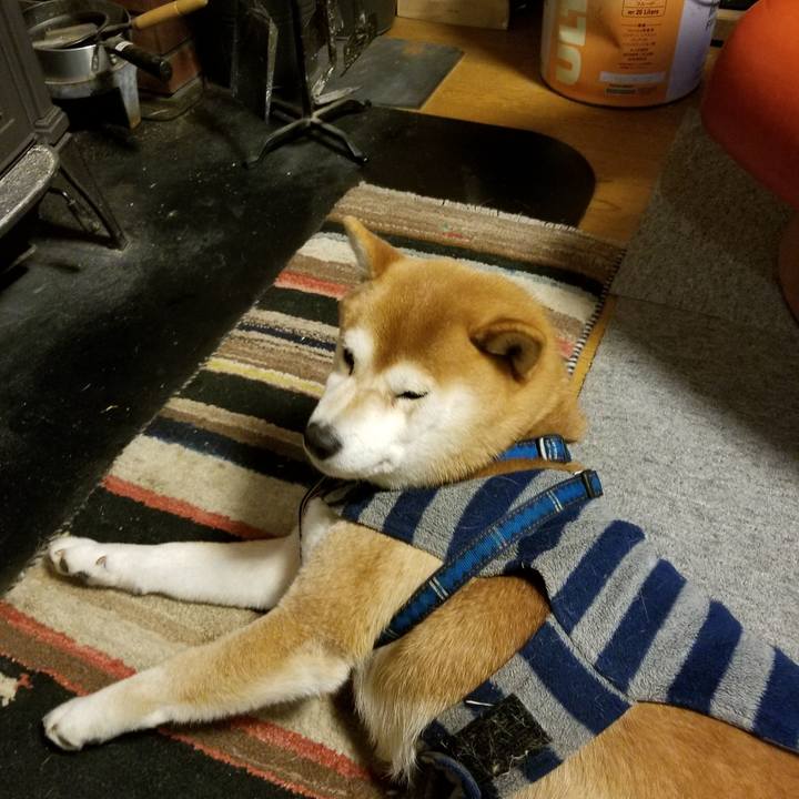 Bb04c12d 1c98 49fa a32b 5d749a77a6e9 1549616746902