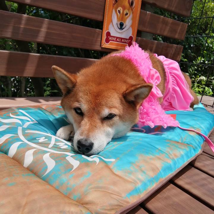 Bb04d49c c463 45bf 8f23 d862766a7b68 1627443350897