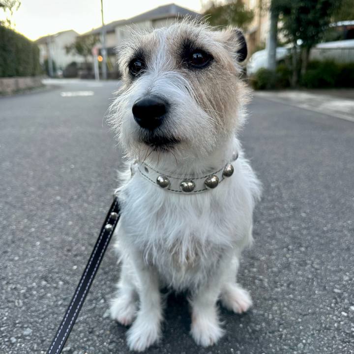 Bb054587 0172 4cca 9554 781f9bd9d677 1736296539881