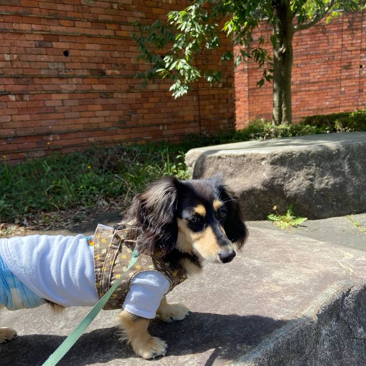 Bb0548b7 4511 4e02 8dd5 fec2ae902afd 1681353334449