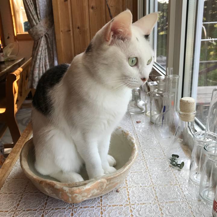 Bb057531 414d 44a1 b587 343fdf2e69af 1533162244408