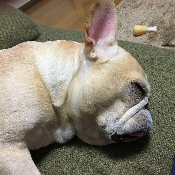 Bb05b117 2ede 44fe 85d7 8f583b567b62 1508923139845