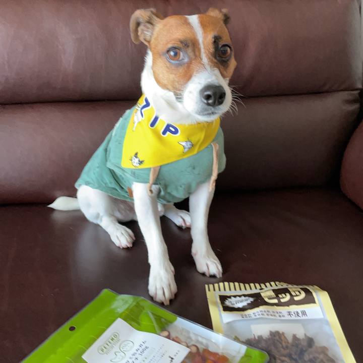 Bb05d51a 350b 4347 91da 2d3a9c6adbee 1653634362996