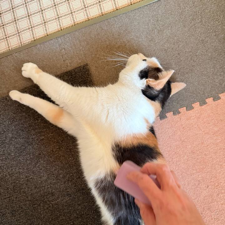 Bb05e473 9304 4963 bc87 13c6582d9ee3 1736036732210