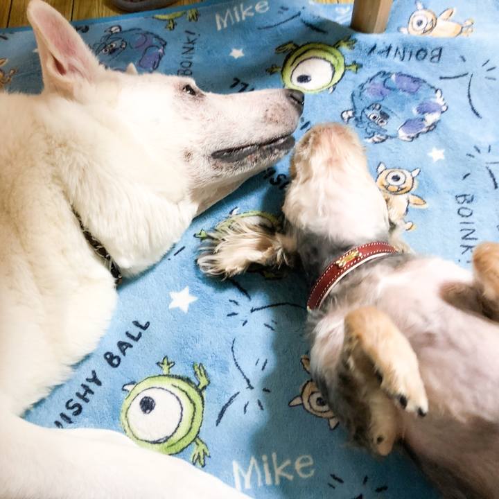 Bb05f3b2 5c7a 4606 9f93 c1ff506c48ed 1565440171025