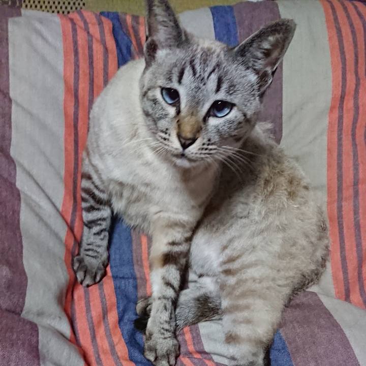 Bb05fe7d 9f65 43d3 b732 41dd3e62c83b 1529797891535