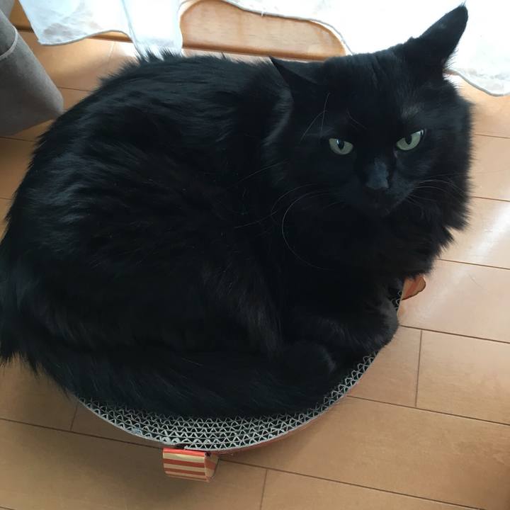 Bb060ce7 07fd 455b bd2d aaad8340a132 1525564836934