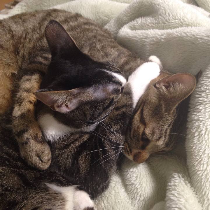 Bb0664a5 0c26 4428 bd55 c80886a6239e 1507954167931