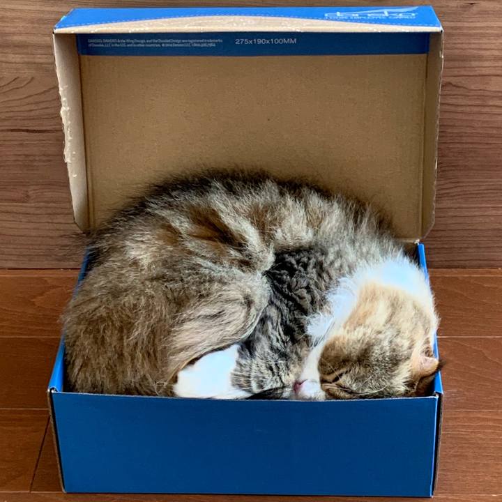 Bb067beb 872a 455d a985 0bf5ac7637ff 1591603523232