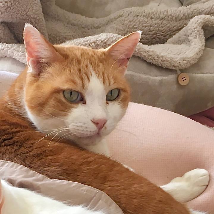 Bb06c0e1 d41a 42de 812d 4c76139366f4 1615016462771