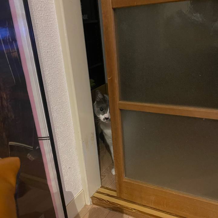 Bb06e364 78ff 484c bf56 86acb4ed2683 1672298425313