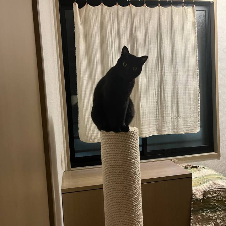 Bb06f6a8 692d 46fa ad87 9a0d9aa357da 1700129813828