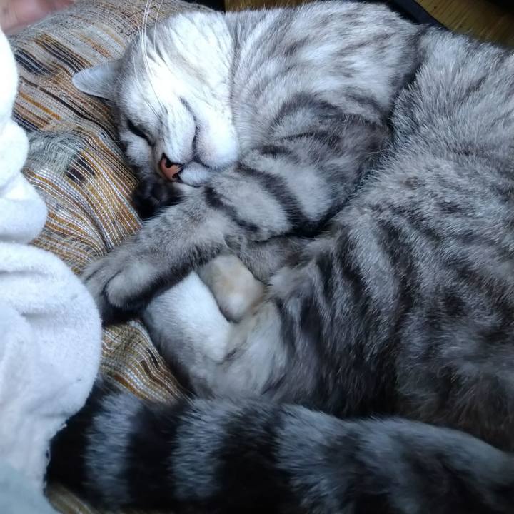 Bb071443 f2de 429a 9799 3d8684c03dd9 1686558226934