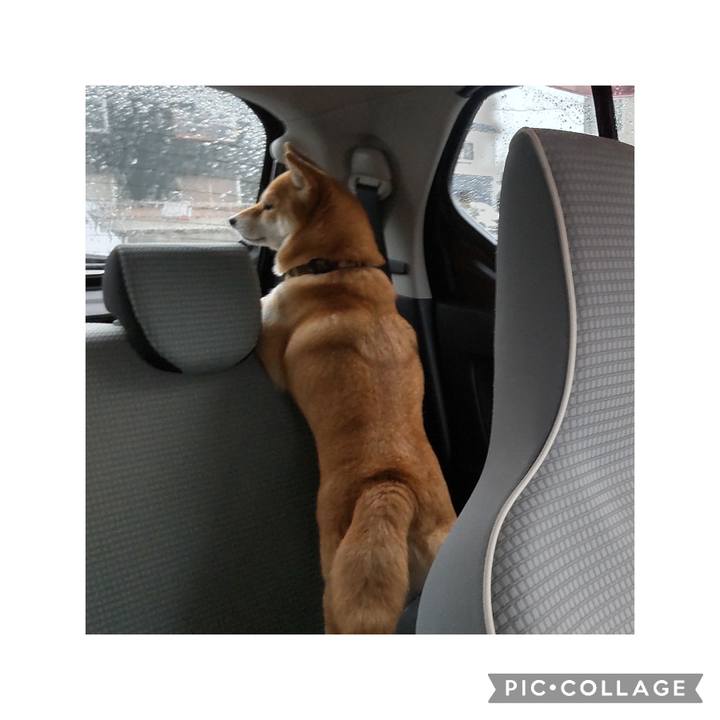 Bb0726ff ac2f 4982 a6ed 550fc69b1896 1710212108939