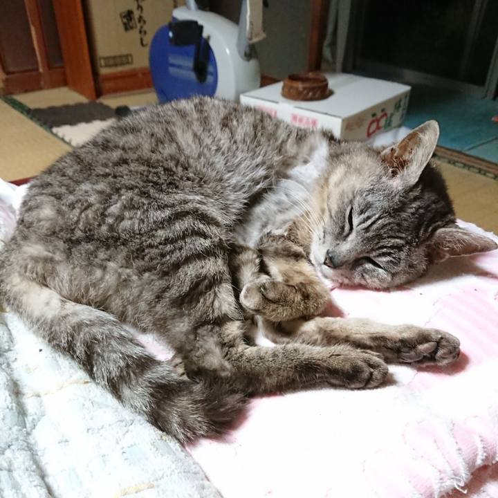 Bb072e41 b393 42ca 801c 19791acb5beb 1592224015908