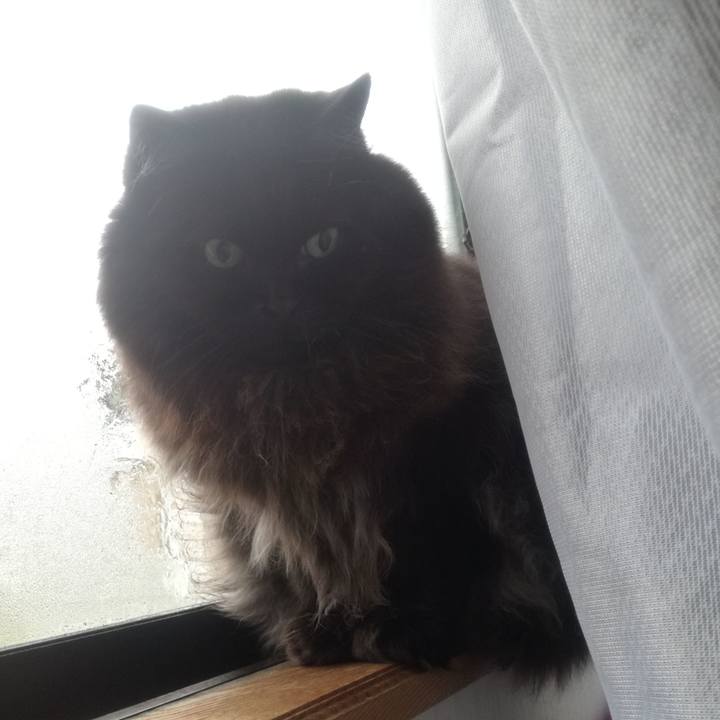 Bb07b159 6cce 4769 b2ae 25ab2dc1b509 1512862269432