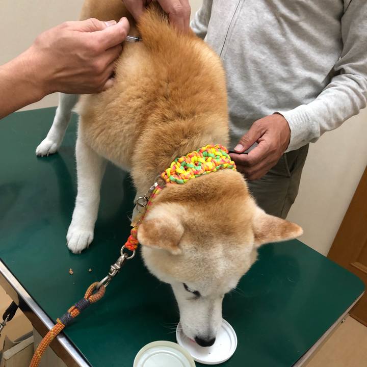 Bb07b990 24bb 4feb 83bb b77fc9fbb22c 1560566293106