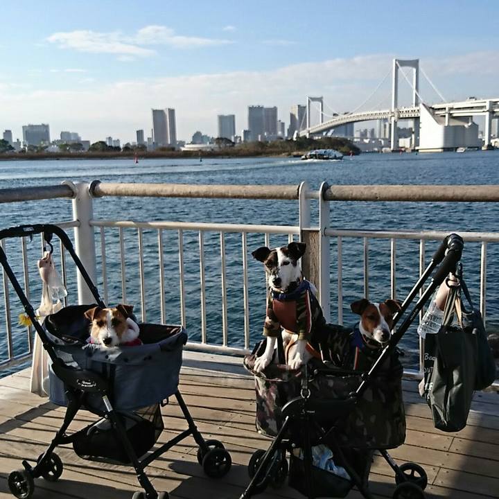 Bb07c83f adab 49ae b25c 47c77c622fc0 1541574163725