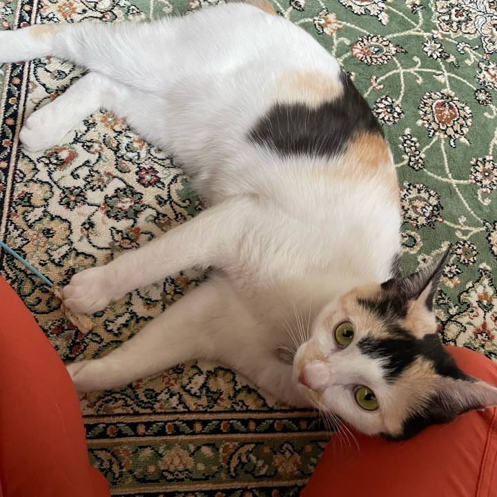 Bb07dd5b b1bb 4af8 b8ac a27167334e71 1678953568276