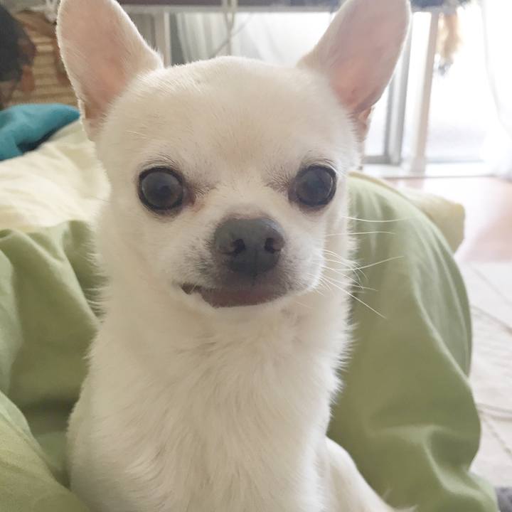 Bb07e34c 468f 4346 adf7 4a247428bd58 1524374582105