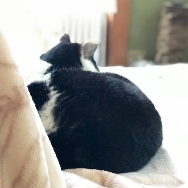 Bb08036b 570b 4473 ac95 1ded15c2cd27 1517663540981