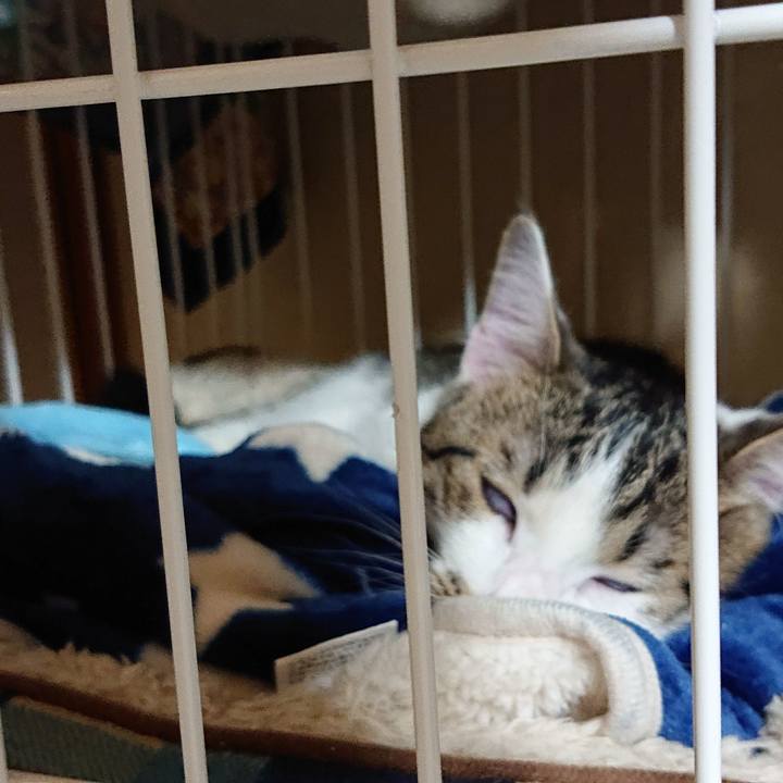 Bb081f32 5d55 4607 b9b9 14026ed8356b 1548589392686