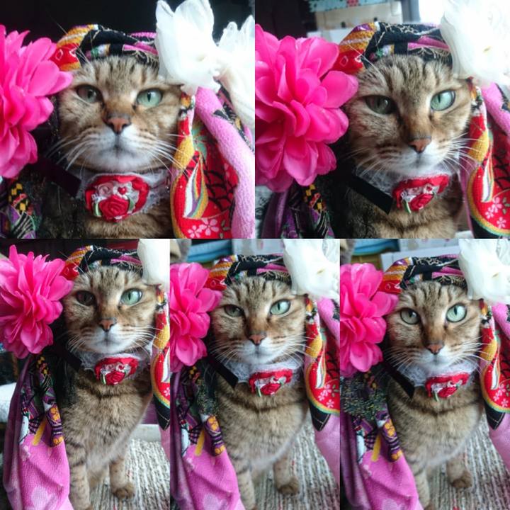 Bb085a2f e018 4d84 8a2b 7bbb0c100632 1769210952297