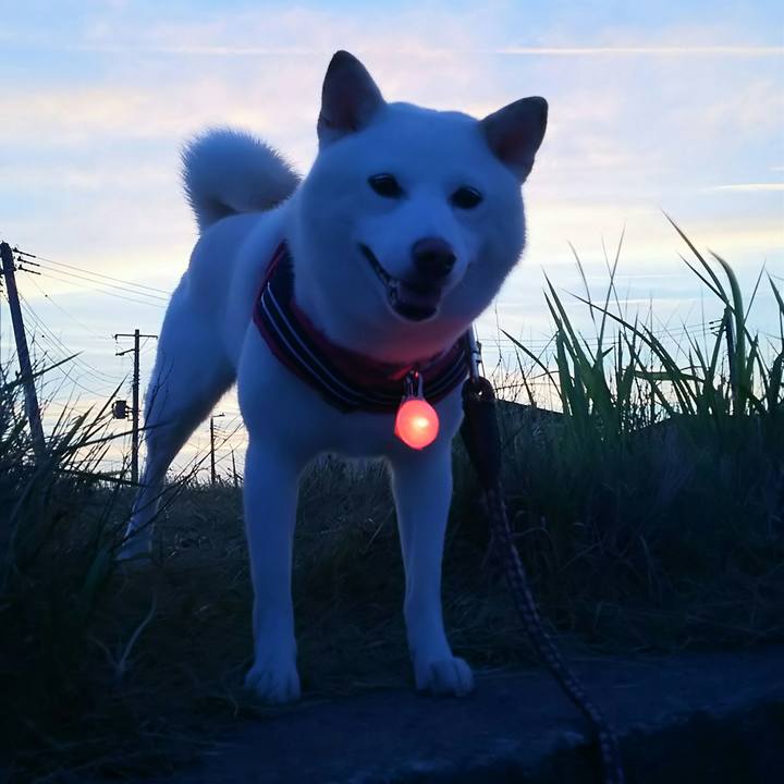 Bb0867d7 48f6 40f7 8988 cfce7d9a9377 1532602311466