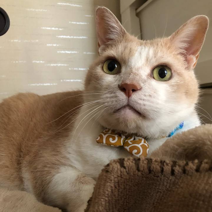 Bb087fb6 2718 44b7 a450 54f7413efacd 1592014205109