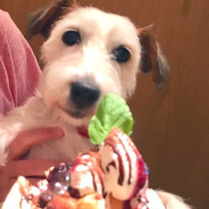 Bb0892a0 1386 4ff2 aaf7 ac818cbf01d2 1565818317532