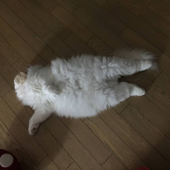 Bb08b02c f5c4 4123 a766 ce6f0d9d0013 1533040934599