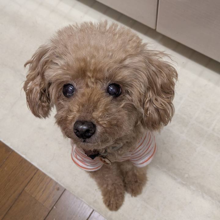 Bb094703 f92b 4987 8833 b3341dca86f4 1761107050154