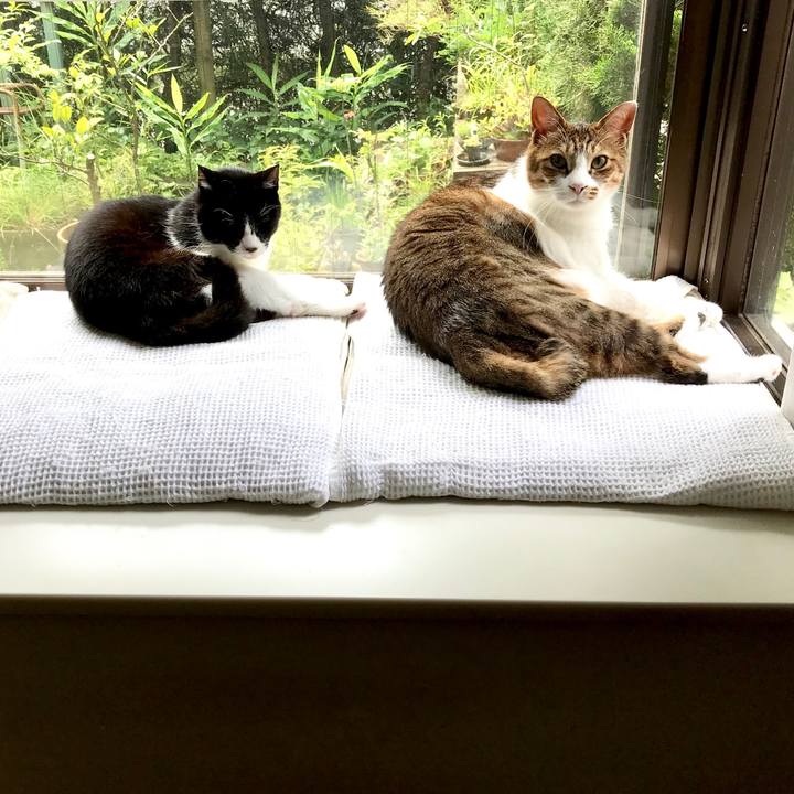 Bb096753 a4b0 46aa 9a5e 6953ef52f760 1529635517136