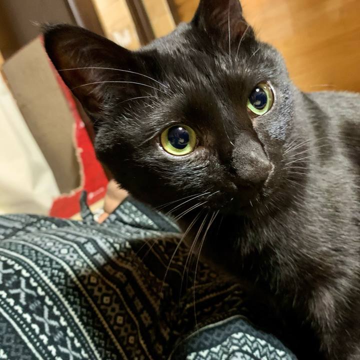 Bb0973ac c75f 4d56 84dd 0e44f7288a40 1674905558813