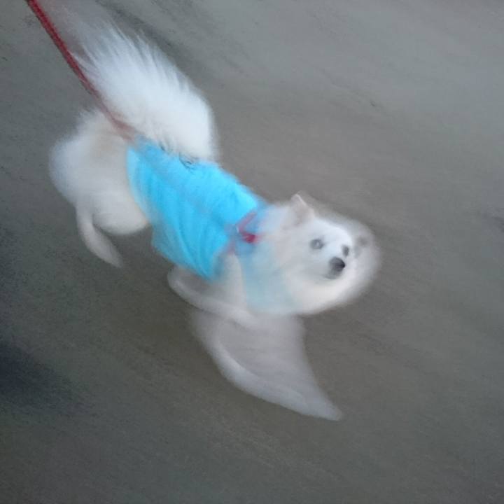 Bb097c55 5843 4dd4 a2b5 4ccfaf6d056a 1513633747891